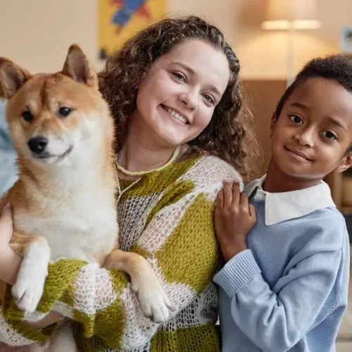 how-to-move-across-country-with-pets.webp
